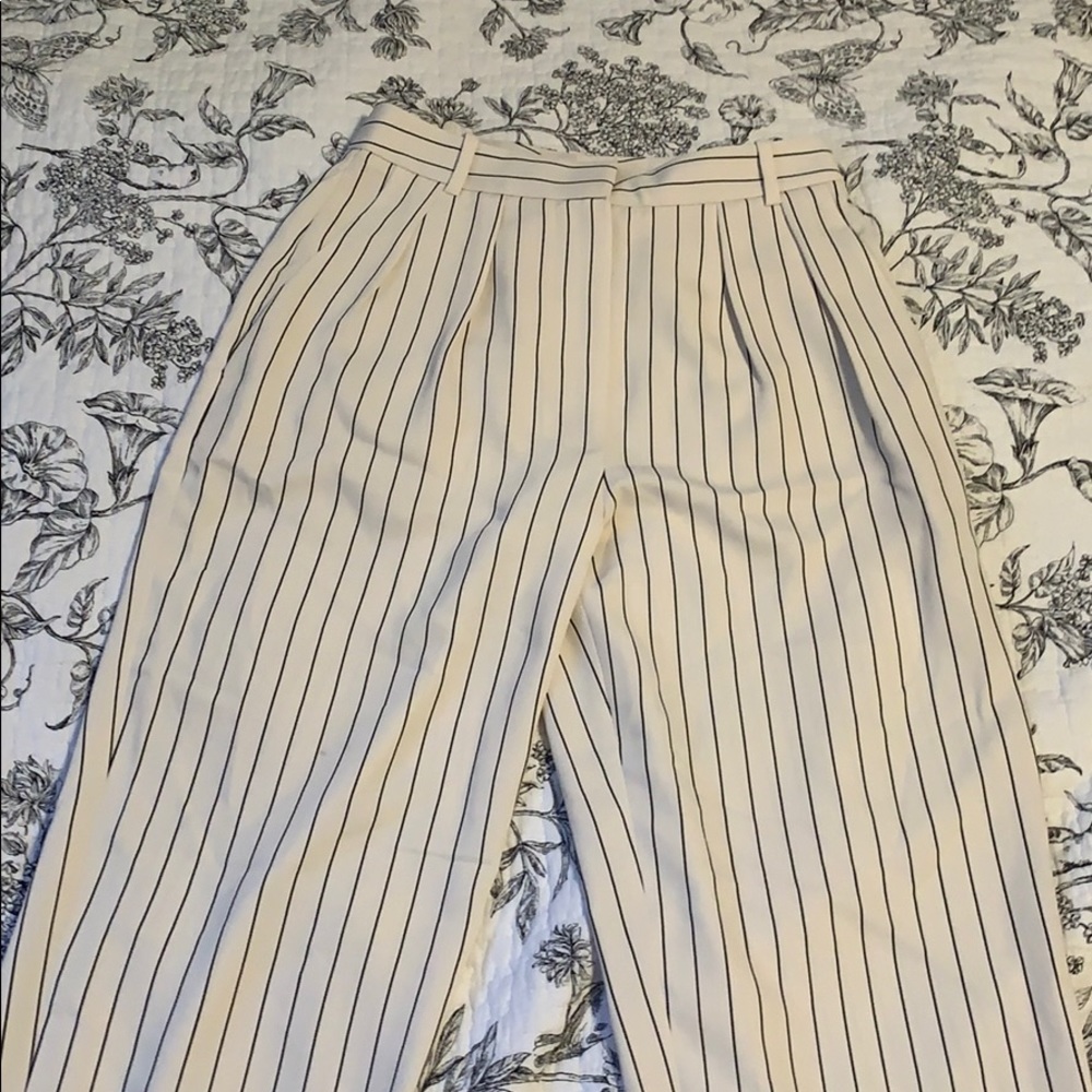 Babaton Modesto pants size 2